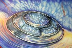 cropped-saucer-vines