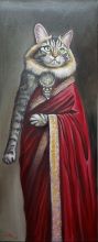 Cat-in-Sari